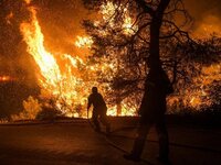 Ηλεία: Σε εξέλιξη η πυρκαγιά στην Κορυφή...