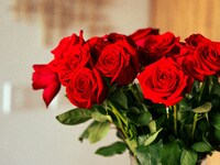 Πάτρα: Στα ανθοπωλεία για τον Άγιο Βαλεν...