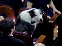 Τα χαριτωμένα απρόοπτα των 96ων Όσκαρ: Τ...