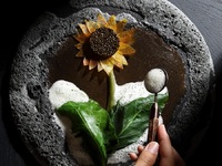 Τα αστέρια Michelin προσγειώθηκαν στην Α...