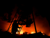 Αίγιο: Συγκλονίζει μοναχός - «Δεν αφήνω ...