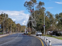Πάτρα: Κοπή επικίνδυνων κλαδιών δέντρων,...