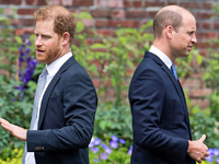 Ξύλο μεταξύ Πρίγκιπα Χάρι και Γουίλιαμ α...