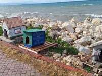 Πάτρα: Έκλεψαν γατόσπιτο που ζύγιζε 100 ...