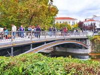 Σε κατάσταση σοκ οι συμμαθητές της 15χρο...