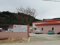 83χρονος με άνια έπιασε τιμόνι, πέρασε π...