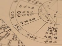 Τρία ζώδια που λένε “συγγνώμη” περισσότε...