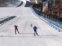 Λυκόσκυλο εισβάλλει σε πίστα σκι και τρέ...
