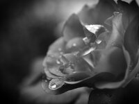 Πάτρα: Έφυγε από τη ζωή ο επιχειρηματίας...