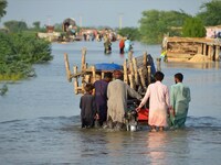 Κλιματική αλλαγή: Ο ΟΗΕ προειδοποιεί για...