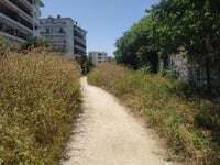 «Ζούγκλα» ο δρόμος πίσω από το γήπεδο τη...