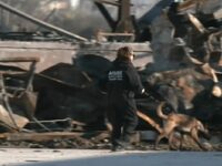 Με τη συνδρομή σκύλων- ανιχνευτών οι έρε...