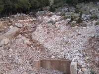 Άκης Τσελέντης: Να τι έφταιξε για τις κα...