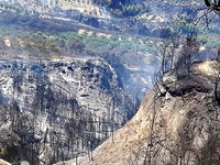 Σε ύφεση οι φωτιές στην Ηλεία - Άφησαν π...