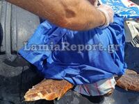 Φθιώτιδα: Γέφυρα ζωής για να σωθεί τραυμ...