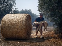 Φωτιά στη Φυλή: Κάτοικοι τρέχουν να σώσο...