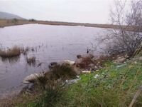 Περιφέρεια: Μήνυση για τα πεταμένα πρόβα...