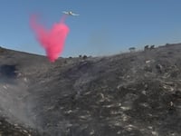 Σε ύφεση η πυρκαγιά στην Παλαιά Φώκαια- ...