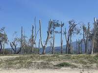 σπιράλ:  «Οι πατρινοί ζητούν εξηγήσεις γ...