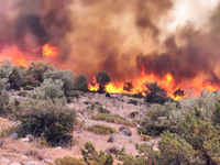 Πάτρα: Μυρίζει καμένο από...τη φωτιά της Βοιωτίας