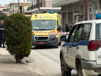 Καρδίτσα: Συνελήφθη 17χρονος για τη δολο...