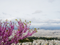 «Εξοικονομώ - Ανακαινίζω για Νέους»: Ανο...