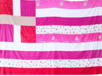 Μπακογιάννη για αφαίρεση ροζ σημαίας από...