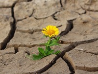 Τάση αύξησης της ξηρασίας τα επόμενα χρό...