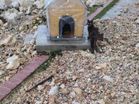 Πάτρα: Τραγικό θέαμα στο Νότιο Πάρκο- Πν...