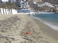 Μύκονος: Χιλιάδες τσούχτρες γέμισαν τις ...