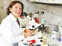 Δολοφονία βιολόγου στην Κρήτη: Πάτησα γκ...