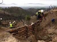 Φωτιές στην Αχαΐα: Μετά τις στάχτες- «Πι...