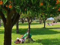 Ο κορωνοϊός... ανέβασε τους Πατρινούς στ...