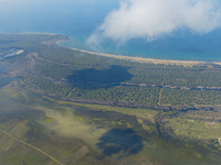 Οικολογική Κίνηση Πάτρας: Με ενδιαφέρον ...