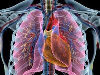 Ημερίδα με θέμα «Πνεύμονες και Ρευματικά...