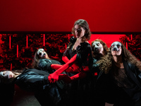 Ο "Καρυοθραύστης" του ΔΗΠΕΘΕ Π...