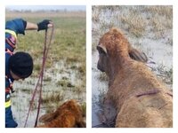 Αχαΐα: Ζητούν ποινική δίωξη του ιδιοκτήτ...