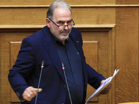 Ο ανεξάρτητος βουλευτής Βαλτογιάννης ζήτ...