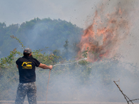 Φωτιά Αρχαίας Ολυμπίας: Ελεύθερος ο ύποπ...