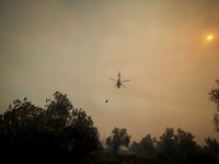 Εύβοια: Εκκενώνονται οι Κεχριές και άλλα...