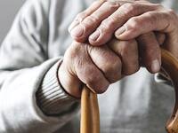 Κορυδαλλός: Σε άθλια κατάσταση βρήκαν ηλ...