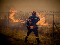 Κερατέα: Η φωτιά ξεκίνησε από κομμένο κα...