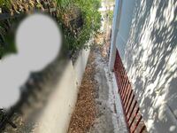 Οικογένεια Πατρινών προσπαθεί επί 4 χρόν...