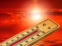 Η φύση «απαντά» στον κορωνοϊό με το πιο ...