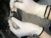 Δεν έφτανε η ακρίβεια, εμφανίστηκε και β...