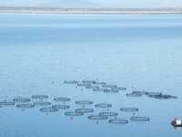 Οικολογική Δυτική Ελλάδα: Η Περιφέρεια σ...