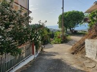 Η Ώρα Πατρών στα Άνω Συχαινά