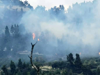 Ανεξέλεγκτη η φωτιά στην Κασσάνδρα Χαλκι...