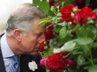 Ο πρίγκιπας Κάρολος λανσάρει το δικό του...