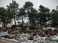 Κακοκαιρία Avgi: Χιόνια θυελλώδεις άνεμο...